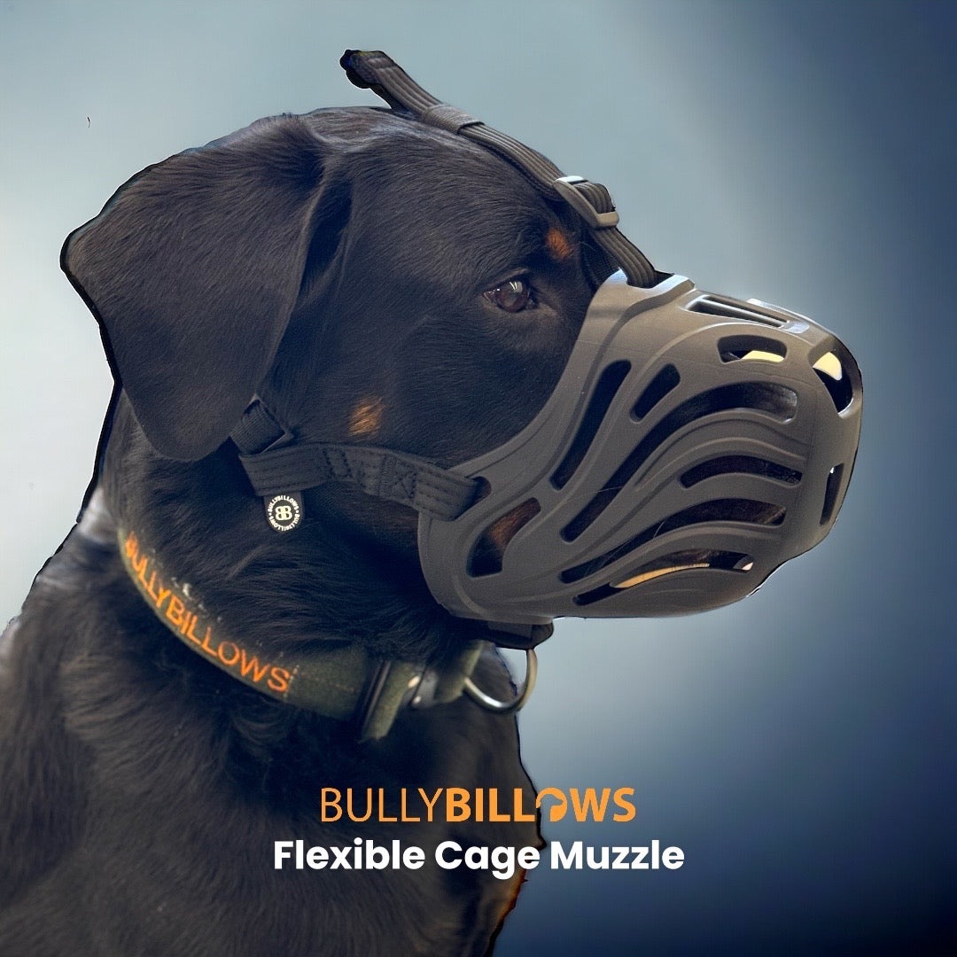 Анатомічний антифрикційний намордник для собак BullyBillows Flexible Cage Muzzle S-XL Breeds Анатомічний антифрикційний намордник для собак BullyBillows Flexible Cage Muzzle S-XL Breeds