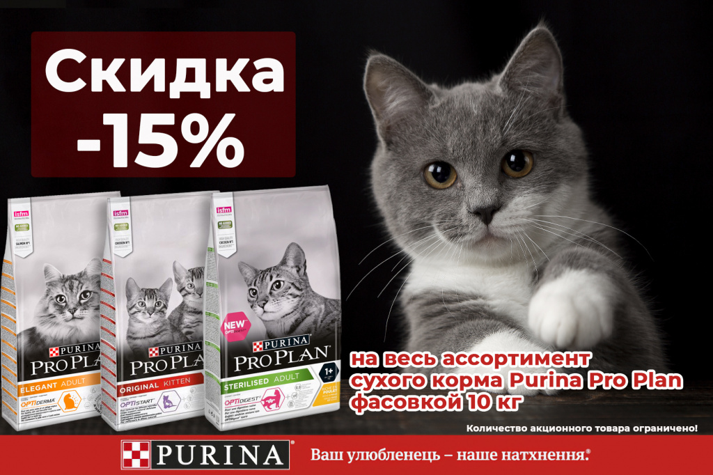 purina baskerville muzzle