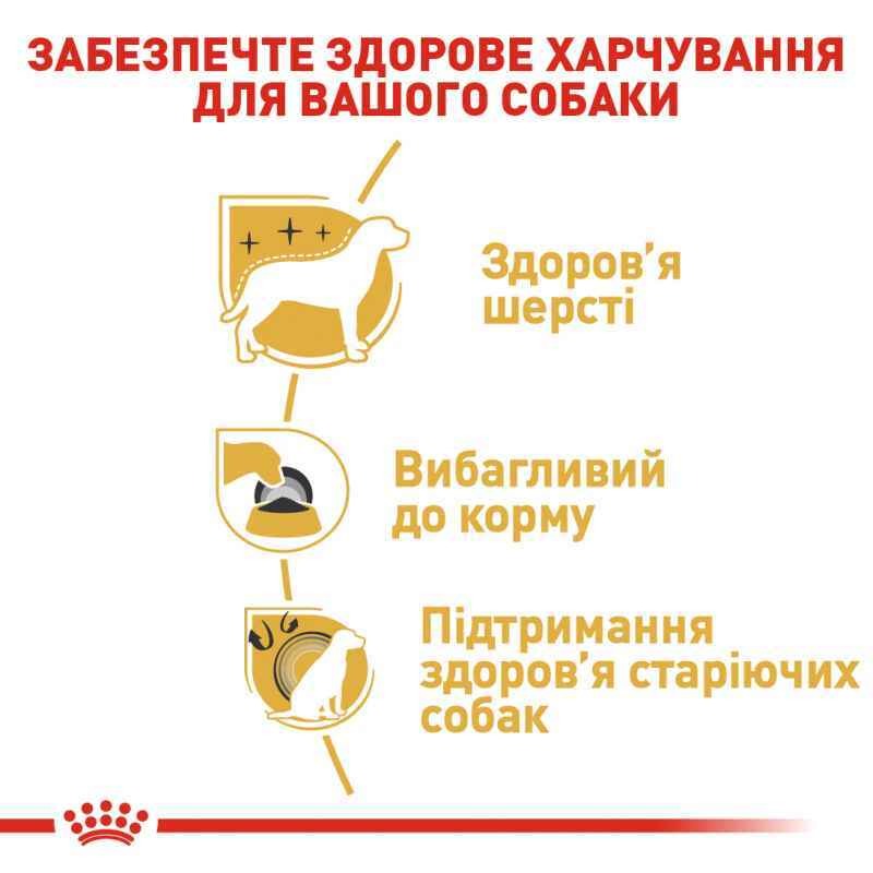 Сухой корм для собак породы Йоркширский Терьер с 10 месяцев Royal Canin Yorkshire Terrier Adult 
