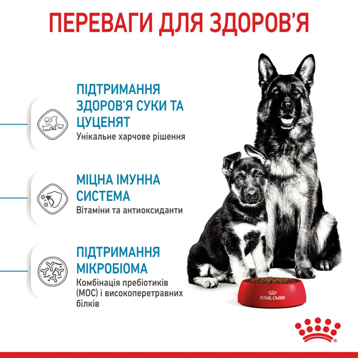 Сухой корм для щенков в возрасте до 2 месяцев и кормящих собак крупных пород Royal Canin Maxi Starter