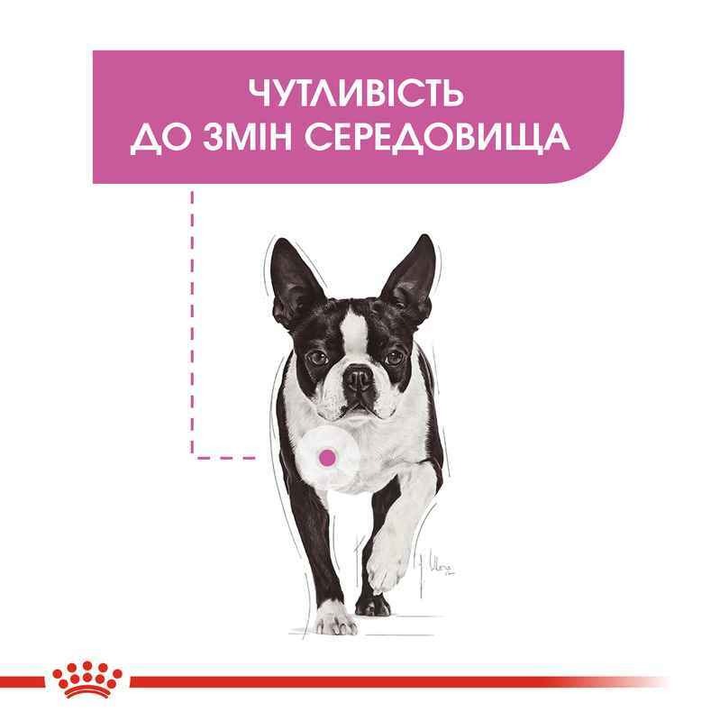 Вологий заспокійливий корм для дорослих собак при дії стресових факторів Royal Canin Relax Care