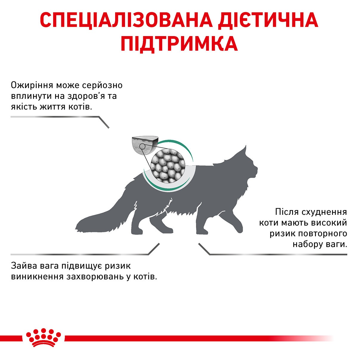 Вологий лікувальний корм у соусі для дорослих котів з надмірною вагою Royal Canin Veterinary Satiety Weight Management s/o index