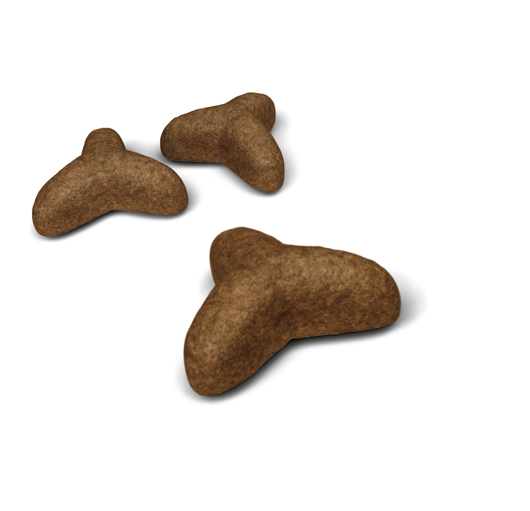 Сухой корм для кошек склонных к лишнему весу Royal Canin Light Weight Care