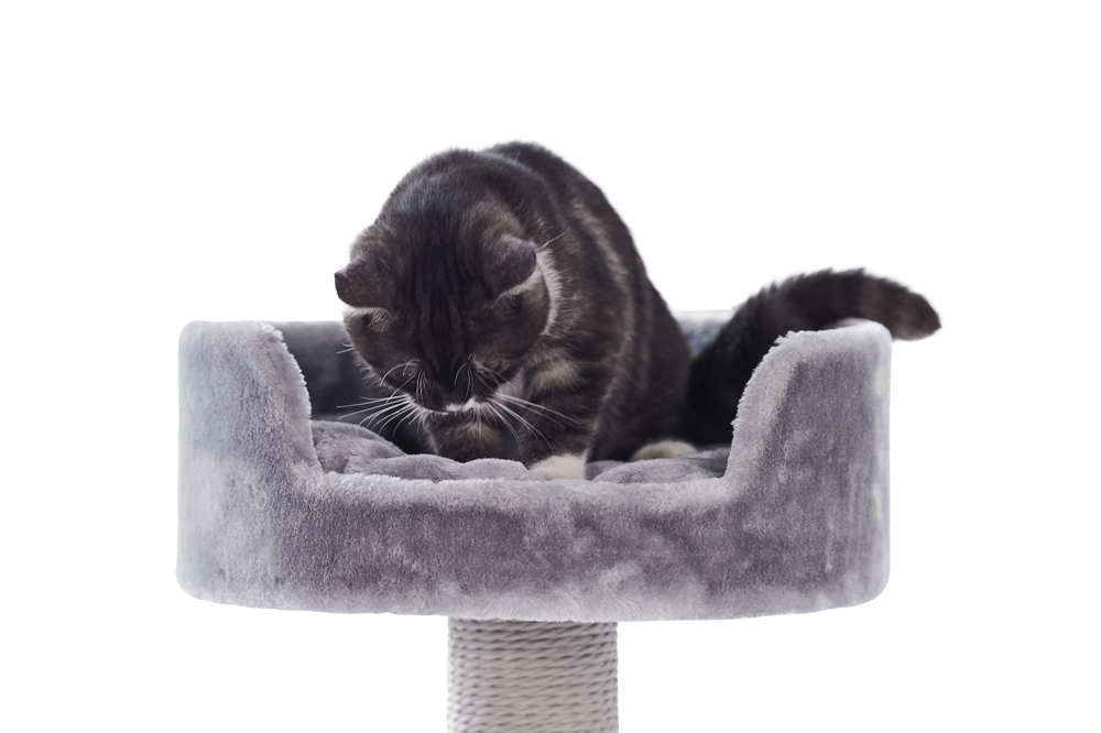 Багаторівнева кігтеточка для кішок з лежаком Zera Nobby