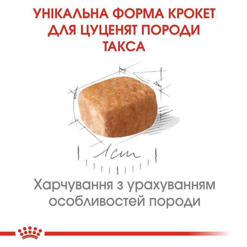 Сухой корм для щенков породы Такса до 10 месяцев Royal Canin Dachshund Puppy