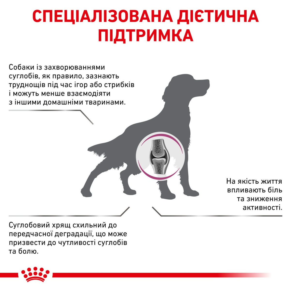 Сухий лікувальний корм для собак при захворюваннях опорно-рухового апарату Royal Canin Veterinary Mobility C2P