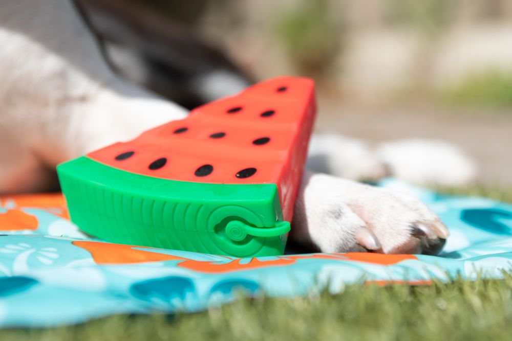 Охлаждающая игрушка для собак ToyBox Жевательный Арбуз Chew Cooling Toy Nobby