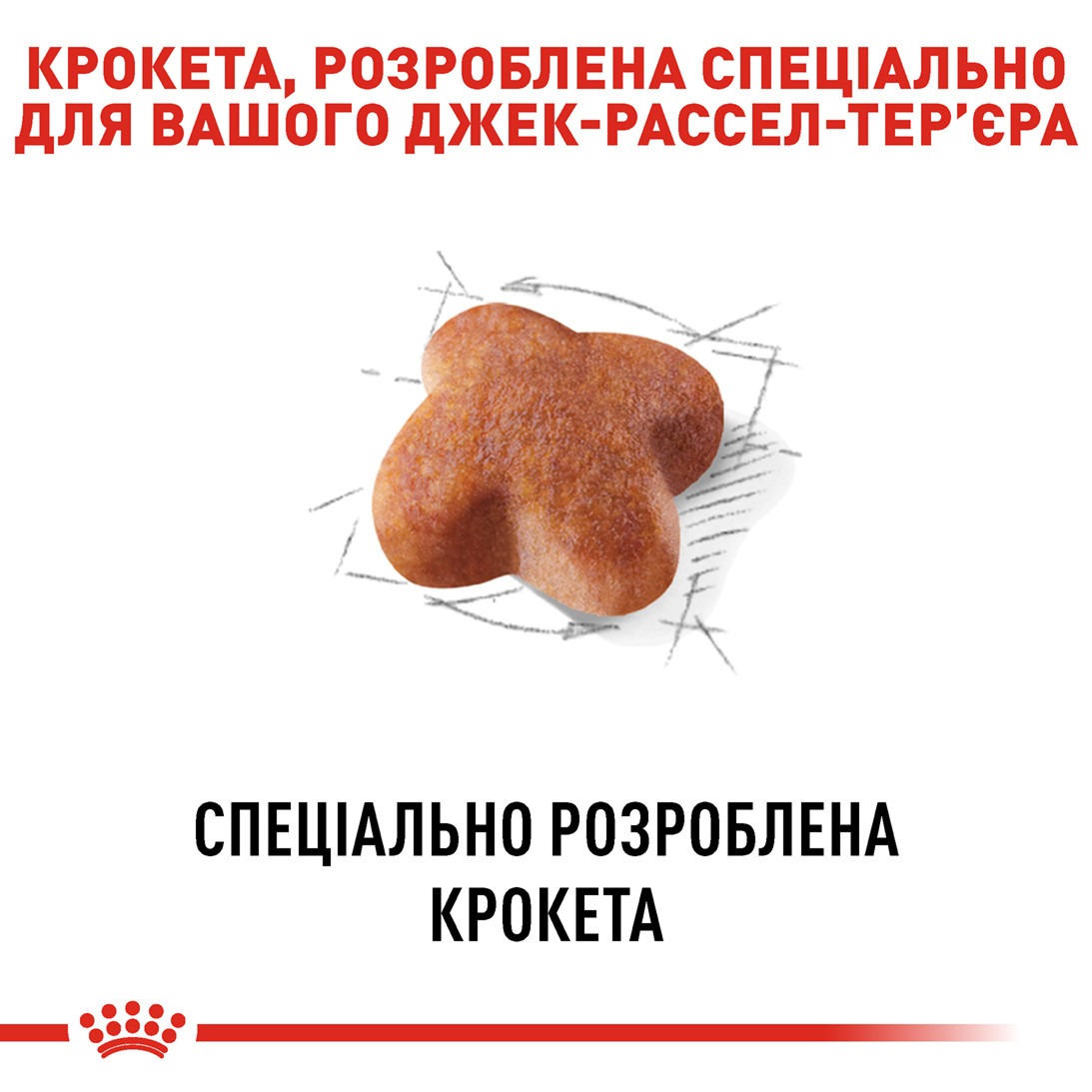 Сухой корм для собак породы Джек Рассел Терьер в возрасте от 10 месяцев Royal Canin Jack Russell Terrier Adult Сухой корм для собак породы Джек Рассел Терьер в возрасте от 10 месяцев Royal Canin Jack Russell Terrier Adult