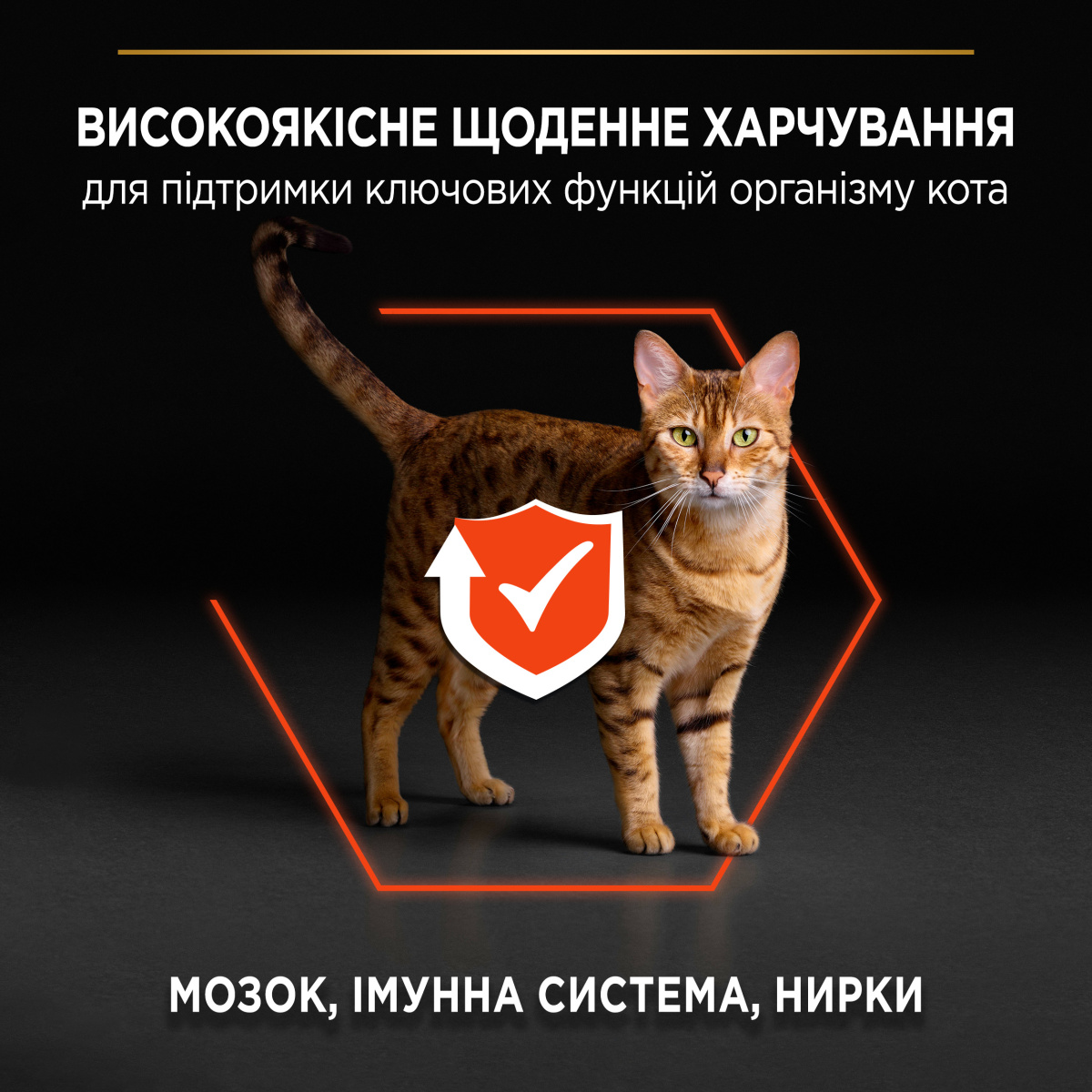 Сухий корм з лососем для підтримки ключових функцій організму котів Purina Pro Plan Vital Functions Adult 1+ Salmon