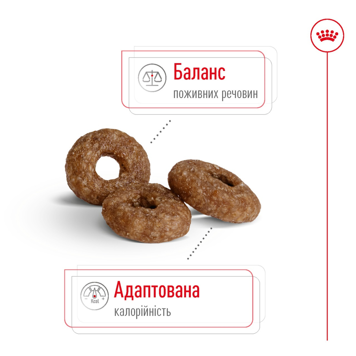 Сухой корм для пожилых собак маленьких пород в возрасте от 12 лет Royal Canin Mini Ageing 12+