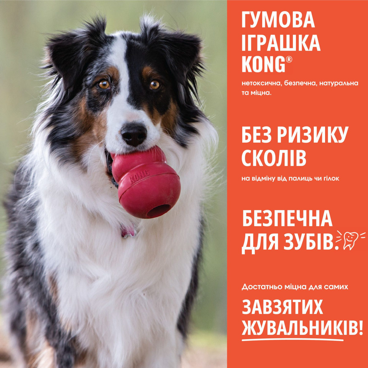 Іграшка для собак Плаваючий Конг з канатом KONG Aqua