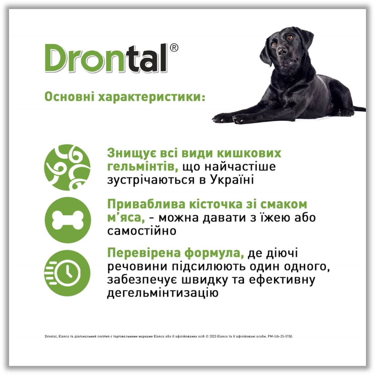 Таблетки для щенков и взрослых собак против гельминтов и лямблий Дронтал Плюс Elanco Drontal Plus Puppies & Dogs