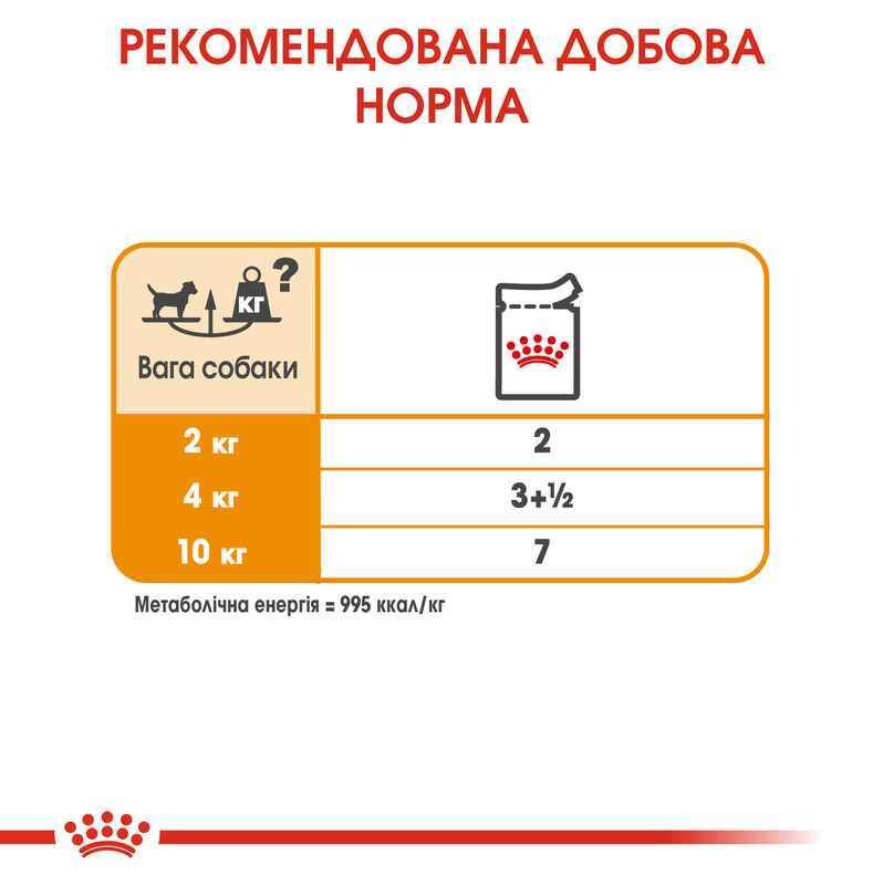 Влажный корм для взрослых собак с тусклой и жесткой шерстью Royal Canin Coat Care