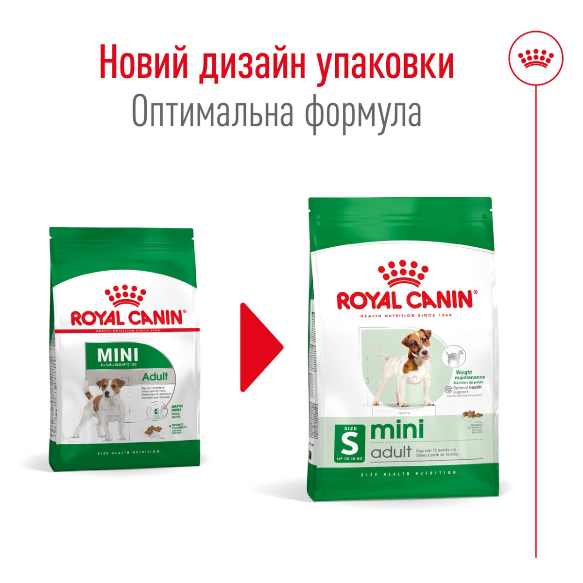 Сухой корм для собак маленьких пород в возрасте от 10 месяцев до 8 лет Royal Canin Mini Adult