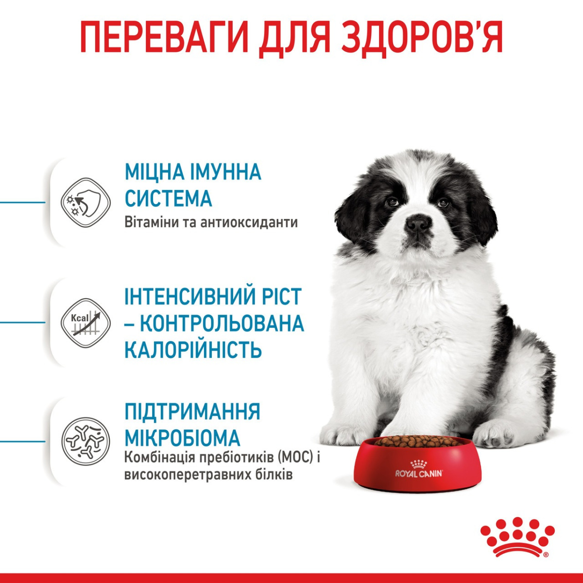 Сухой корм для щенков гигантских пород в возрасте от 2 до 8 месяцев Royal Canin Giant Puppy