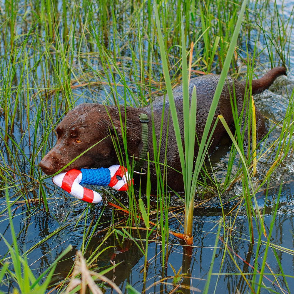 Плаваюча іграшка для собак Якір з пищалкою Swimming Nobby