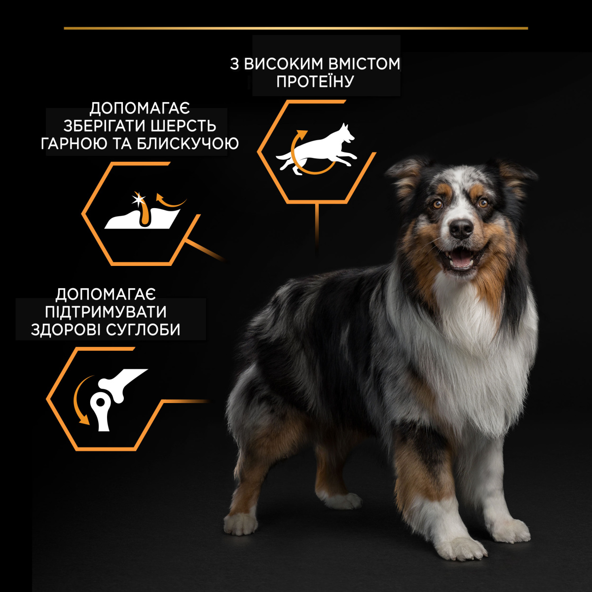 Сухий корм для собак середніх порід з Куркою Purina Pro Plan Medium Adult 1+ Everyday Nutrion Chicken