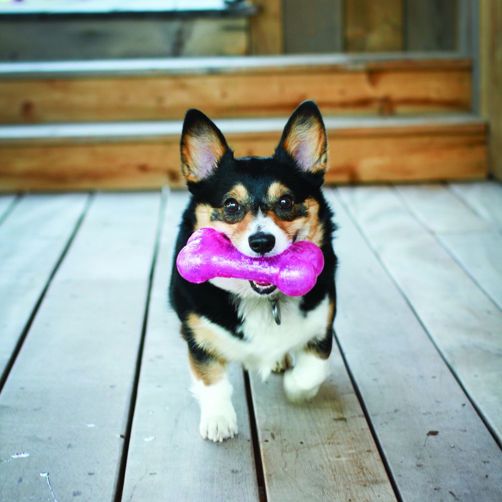 Игрушка для собак Хрустящая Косточка KONG Squeezz Crackle Bone