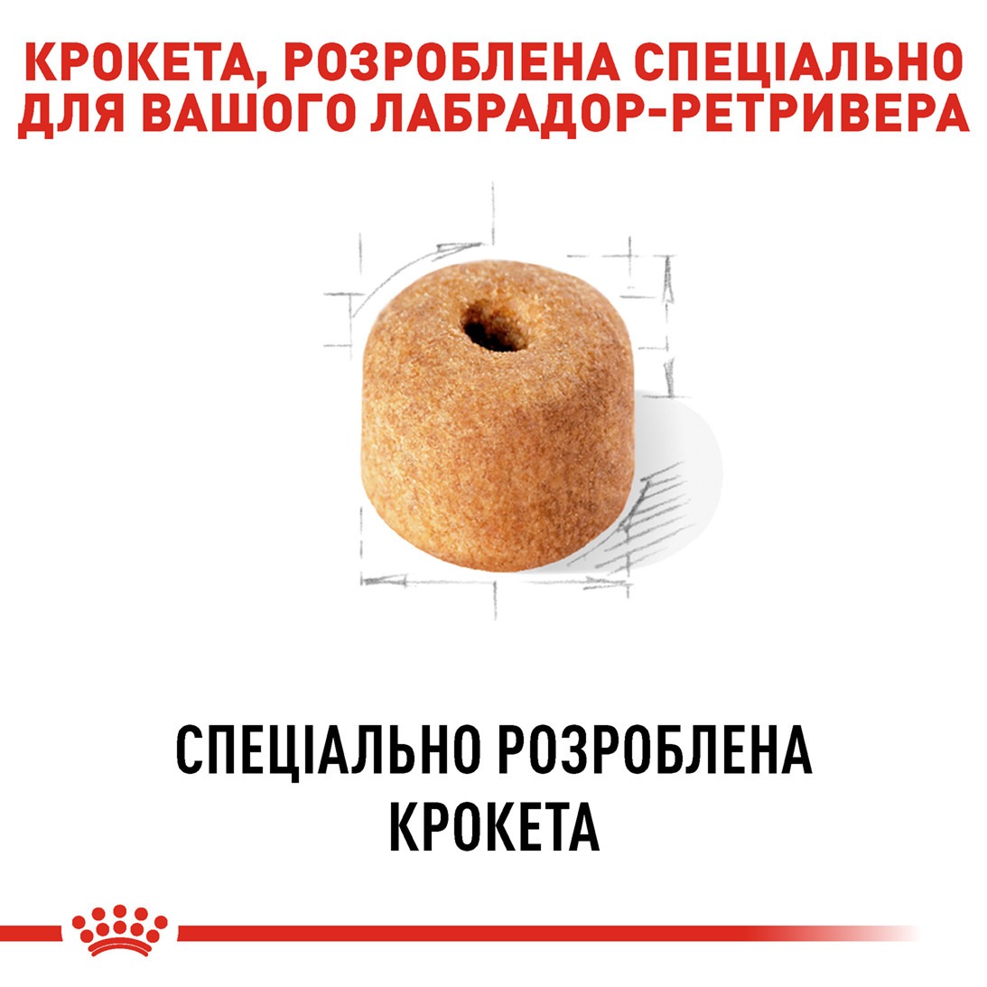 Сухой корм для собак породы Лабрадор старше 15 месяцев Royal Canin Labrador Retriever Adult 