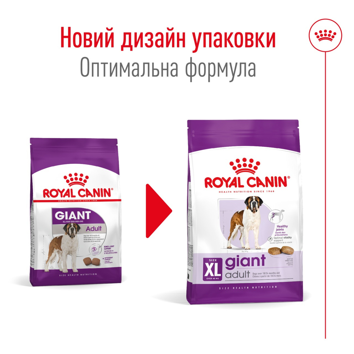 Сухой корм для собак гигантских пород в возрасте от 24 месяцев Royal Canin Giant Adult Сухой корм для собак гигантских пород в возрасте от 24 месяцев Royal Canin Giant Adult