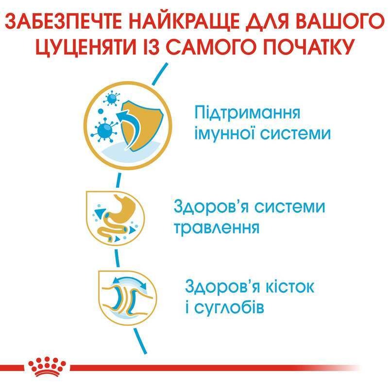 Сухий корм для цуценят породи Англійський бульдог віком до 12 місяців Royal Canin Bulldog Puppy