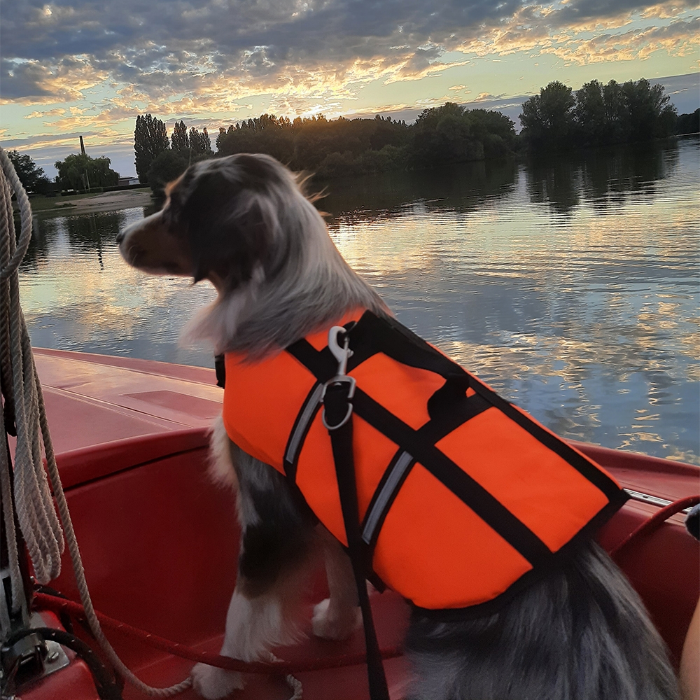 Спасательный жилет со светоотражающими полосками и ручкой для собак Elen Swimming Vest Nobby Спасательный жилет со светоотражающими полосками и ручкой для собак Elen Swimming Vest Nobby