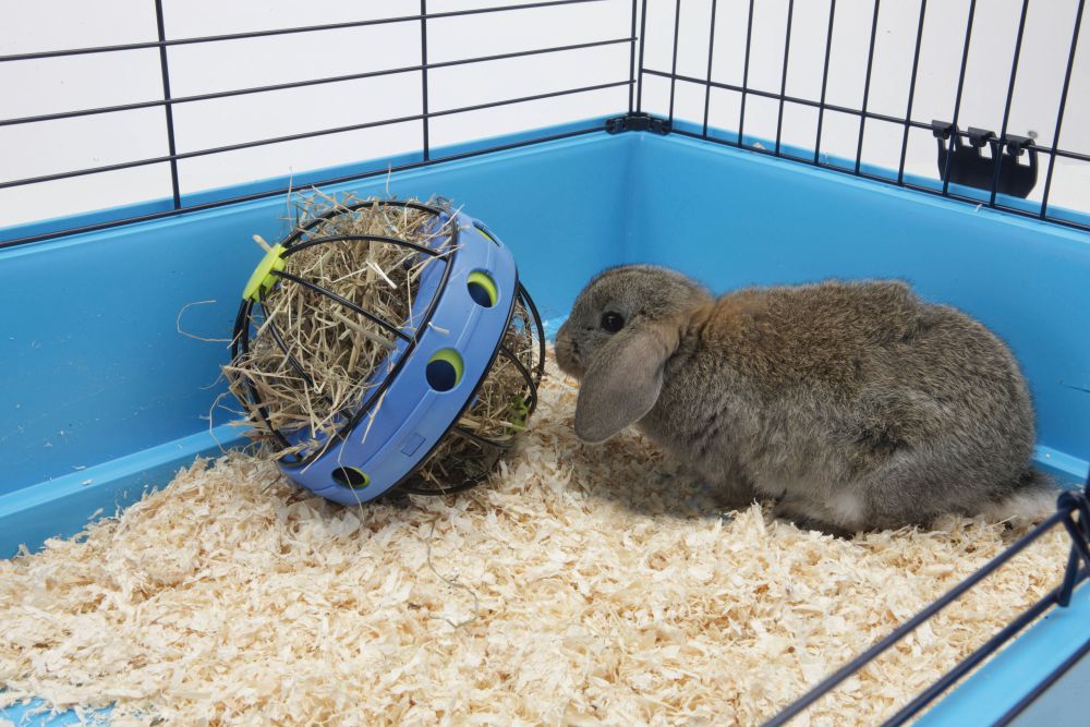 Шар для фруктов и овощей для кролика Bunny Toy Savic