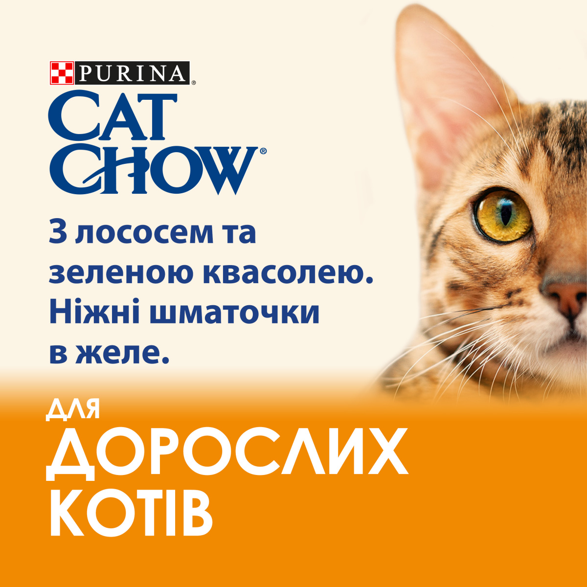 Вологий корм для дорослих котів Шматочки в желе з лососем та зеленою квасолею Purina Cat Chow Adult Salmon & Green Beans
