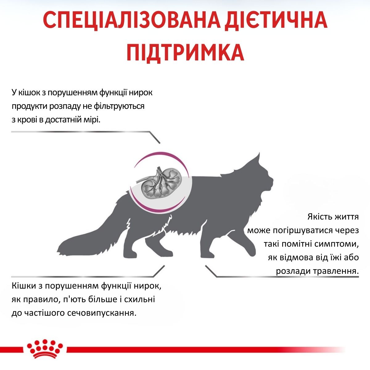 Вологий лікувальний корм з яловичиною для дорослих кішок із захворюваннями нирок Royal Canin Veterinary Renal With Beef