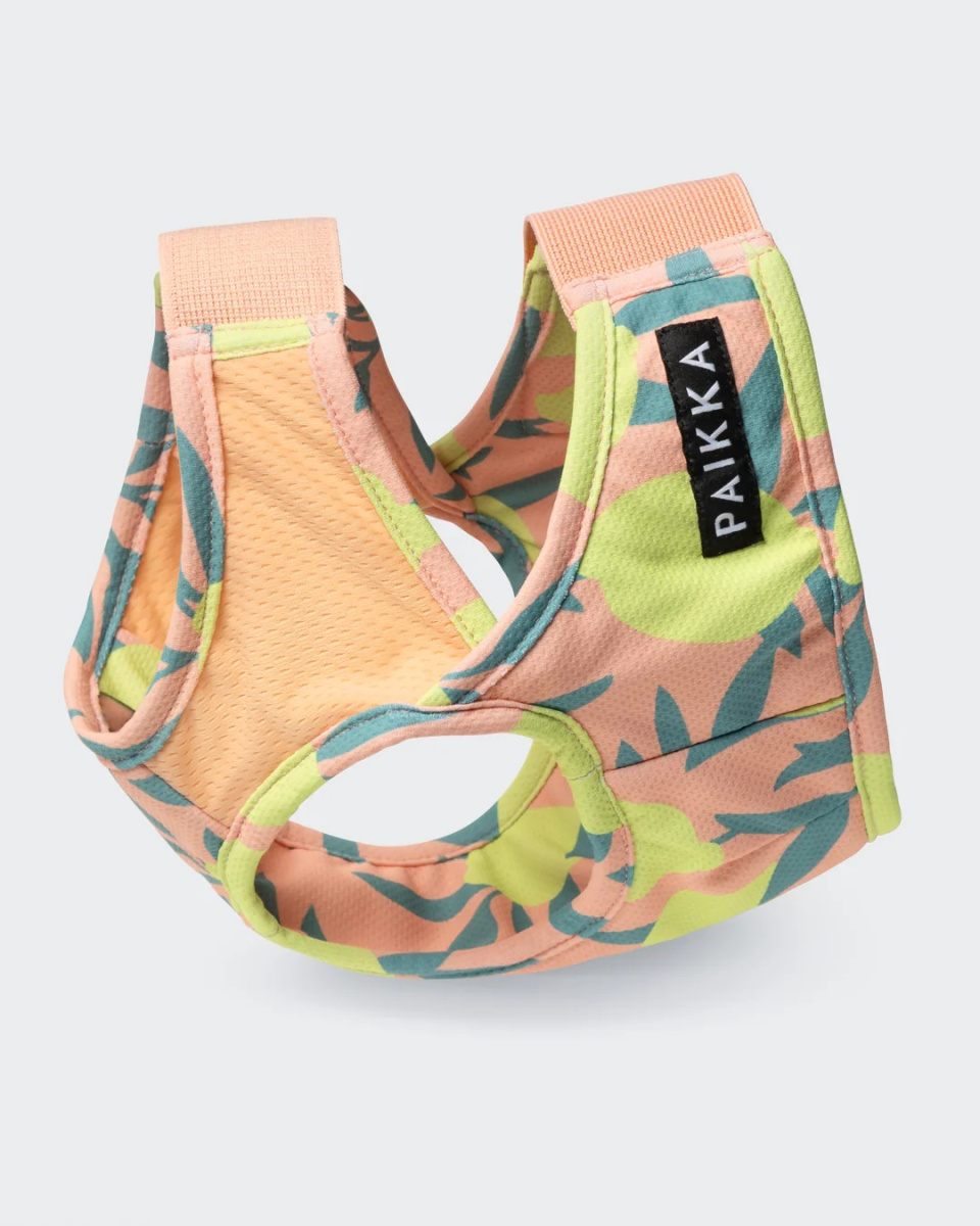 Охолоджуючий жилет для собак PAIKKA Cool Vest Peach Lemon