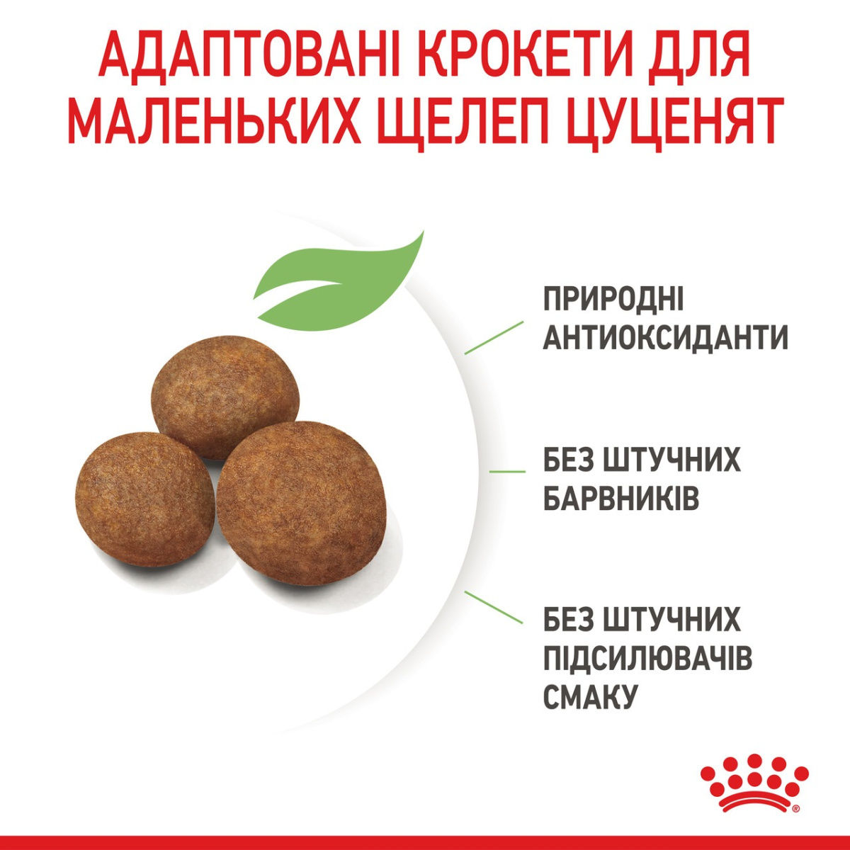 Сухой корм для щенков крупных пород в возрасте от 2 до 15 месяцев Royal Canin Maxi Puppy