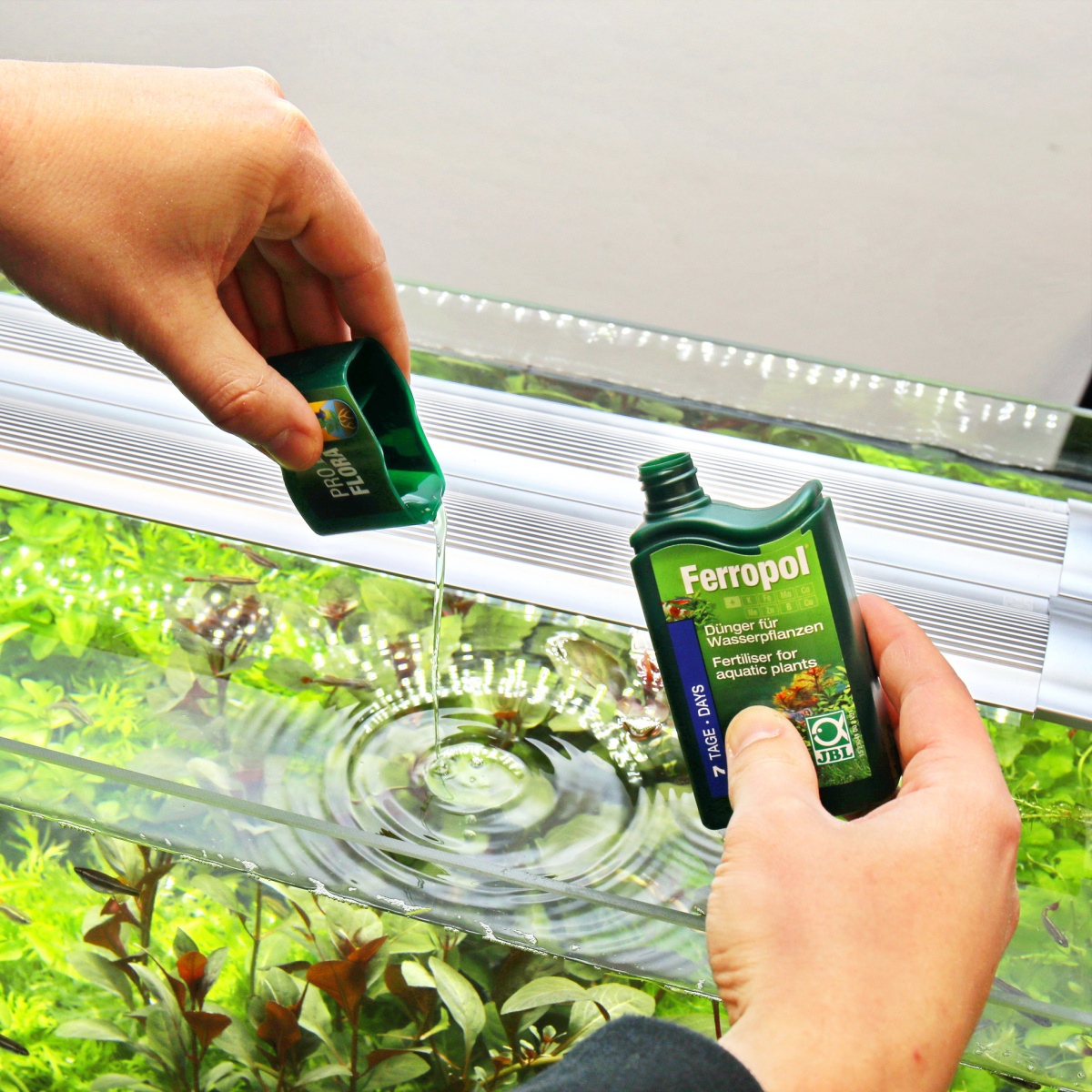 Базове добриво для рослин у прісноводних акваріумах JBL ProFlora Ferropol Базове добриво для рослин у прісноводних акваріумах JBL ProFlora Ferropol