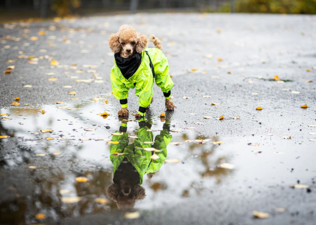 Водонепроникний костюм зі світловідбиваючим візерунком для собак PAIKKA Rain Suit