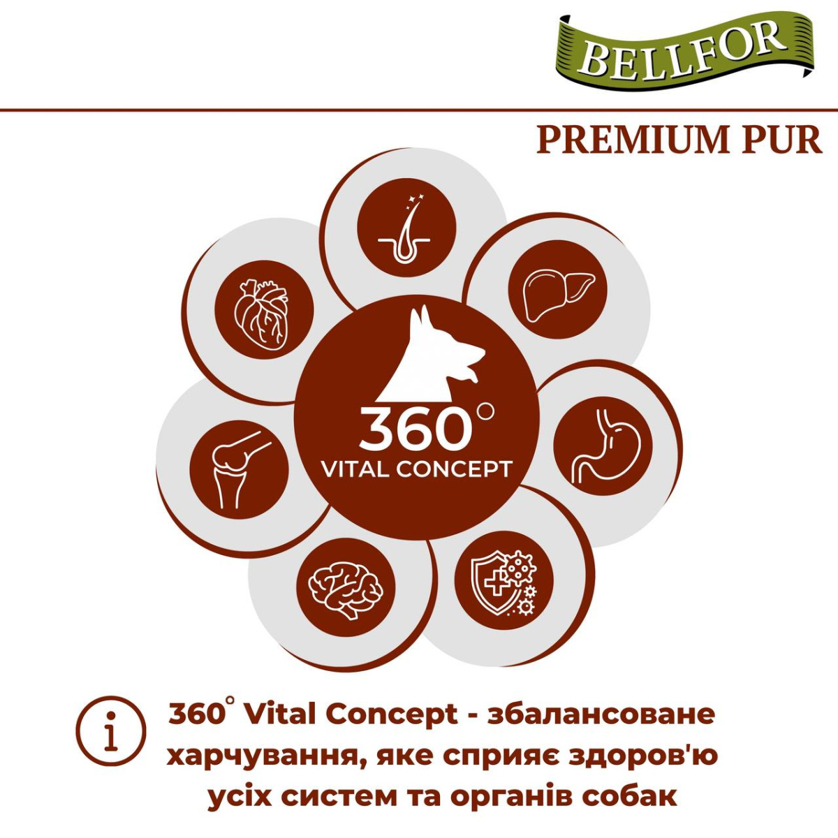 Безглютеновый сухой корм с курицей и рыбой для активных взрослых собак Bellfor Premium Pur Aktiv