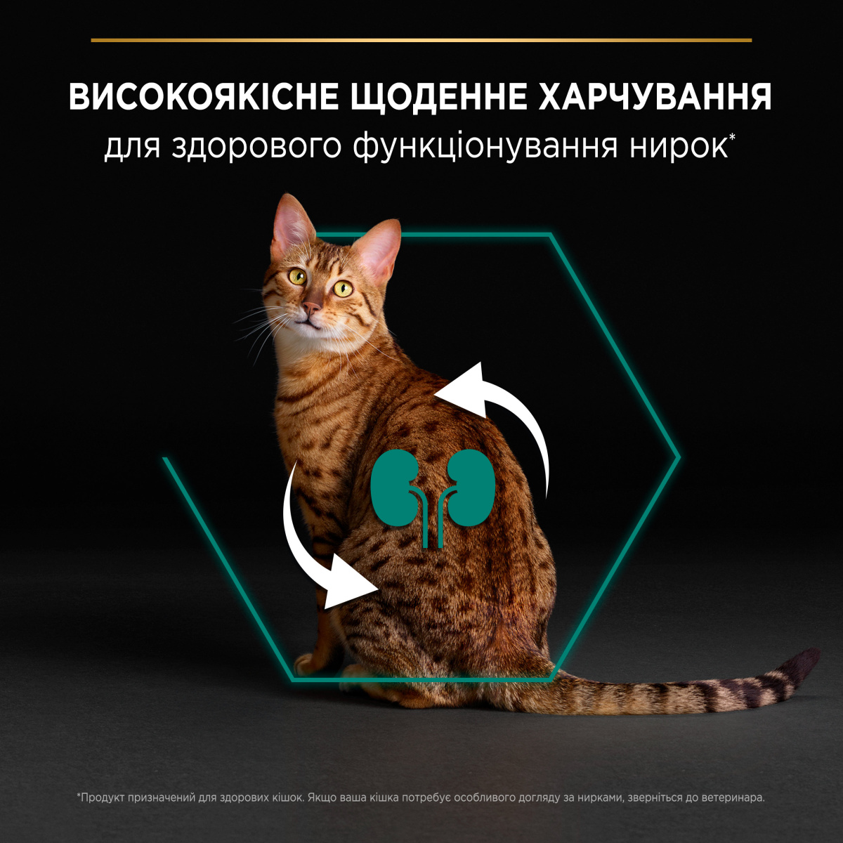 Сухий корм з куркою для підтримки здоров'я нирок дорослих котів Purina Pro Plan Renal Plus Adult 1+ Chicken