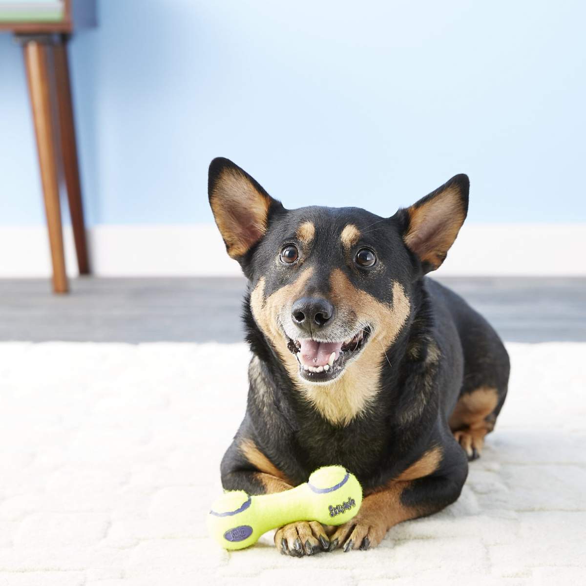 Іграшка для собак Гантель Дбайливий догляд за зубами KONG AirDog Squeaker Dumbbell Іграшка для собак Гантель Дбайливий догляд за зубами KONG AirDog Squeaker Dumbbell