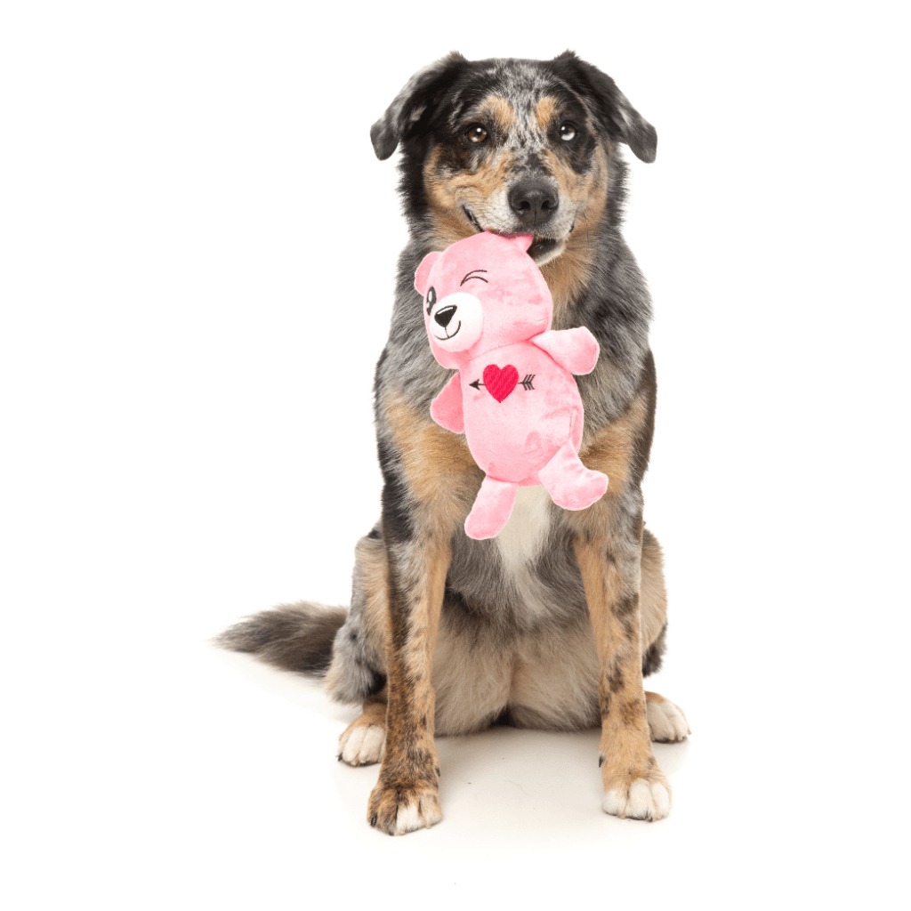 М'яка іграшка для собак Ведмедик з пищалкою FuzzYard Plush Love Bear