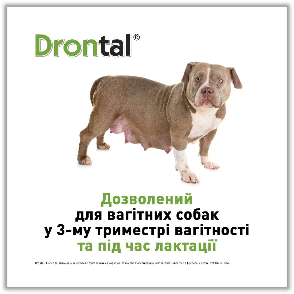 Таблетки для щенков и взрослых собак против гельминтов и лямблий Дронтал Плюс Elanco Drontal Plus Puppies & Dogs