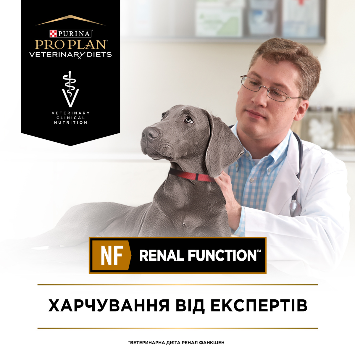 Консерва лікувальна для собак для пітримання функції нирок та уповільнення розвитку хвороби Purina Pro Plan Veterinary Diets NF Renal Function Консерва лікувальна для собак для пітримання функції нирок та уповільнення розвитку хвороби Purina Pro Plan Veterinary Diets NF Renal Function