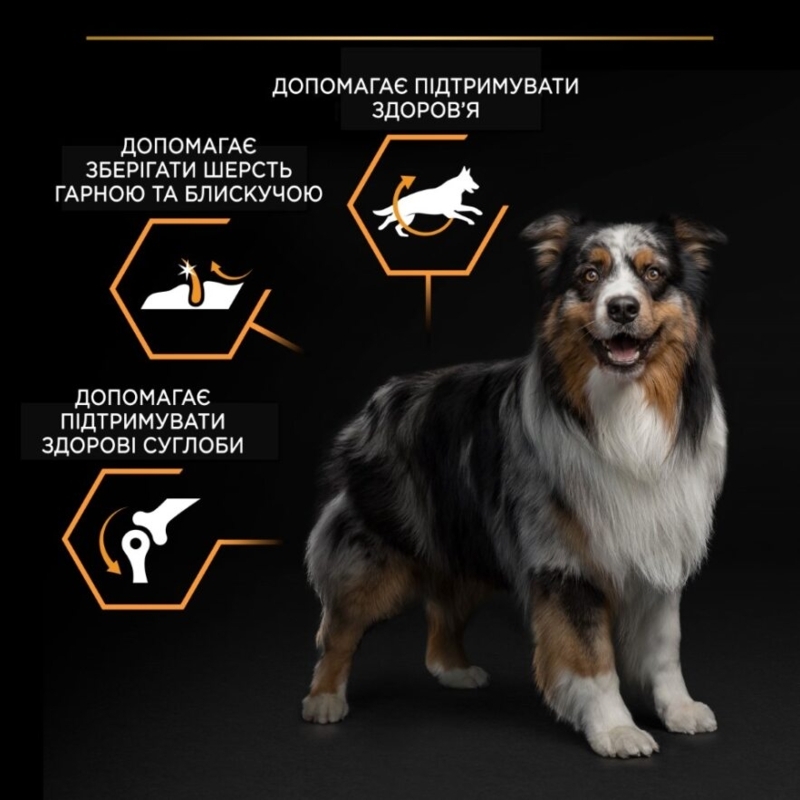 Сухой корм с курицей для взрослых собак средних пород Purina Pro Plan Medium Everyday Nutrion Adult 1+ Chicken