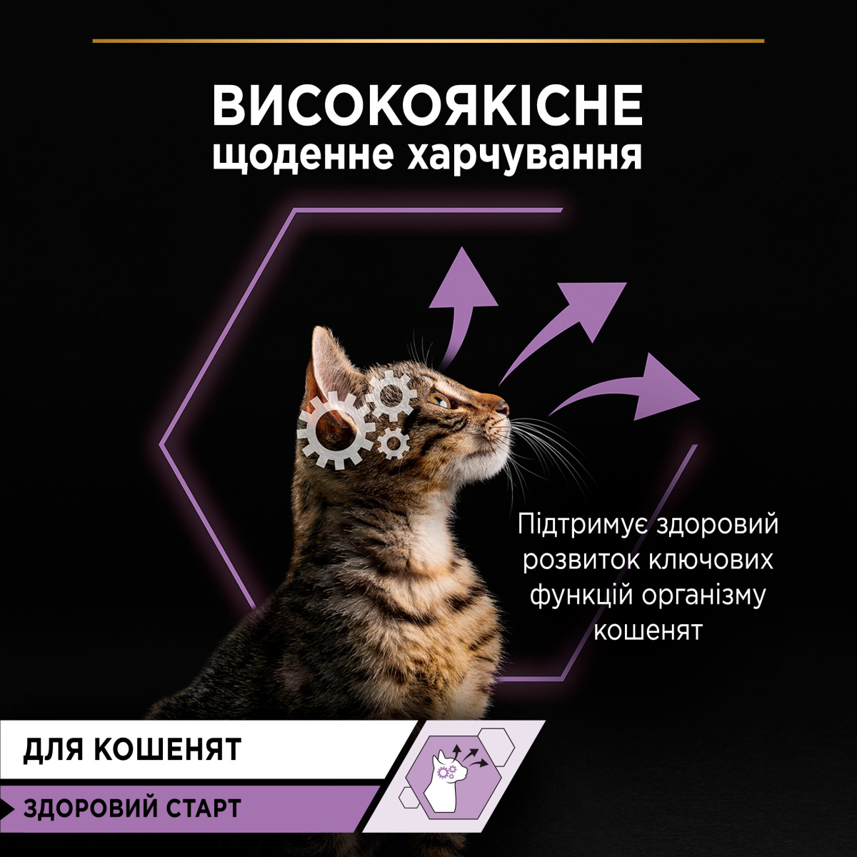 Вологий корм для кошенят віком від 6 тижнів Шматочки індички у підливці Purina Pro Plan Kitten Healthy Start Turkey Sauce