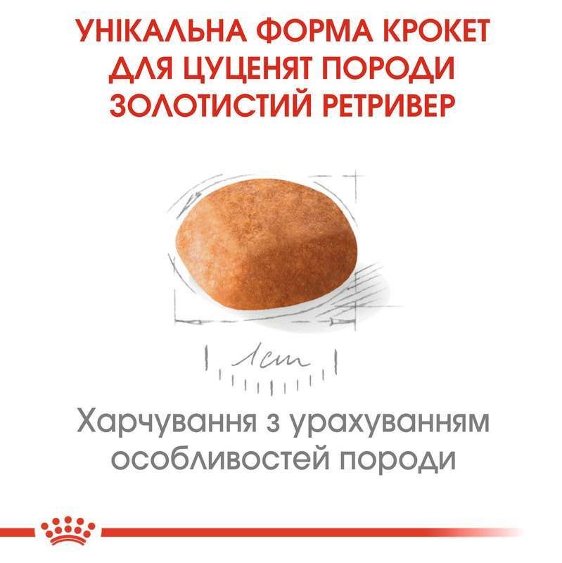 Сухий корм для цуценят породи Золотистий Ретривер віком до 15 місяців Royal Canin Golden Retriever Puppy