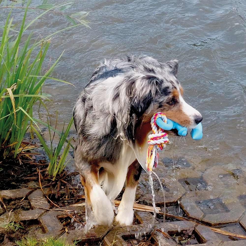 Плавающая игрушка для собак Жевательный Якорь Anker Floating Nobby