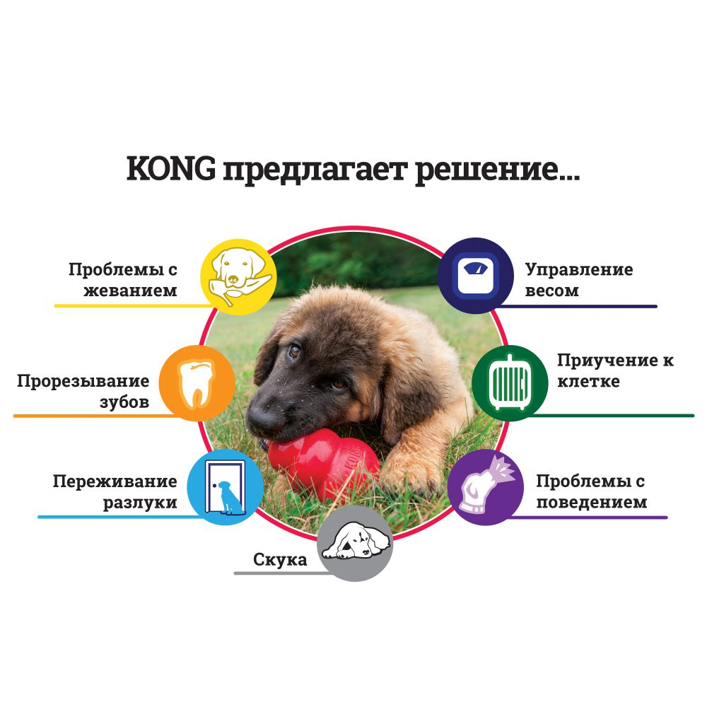 Іграшка для цуценят Конг Розвиваючий для ласощів KONG Puppy Ball Іграшка для цуценят Конг Розвиваючий для ласощів KONG Puppy Ball