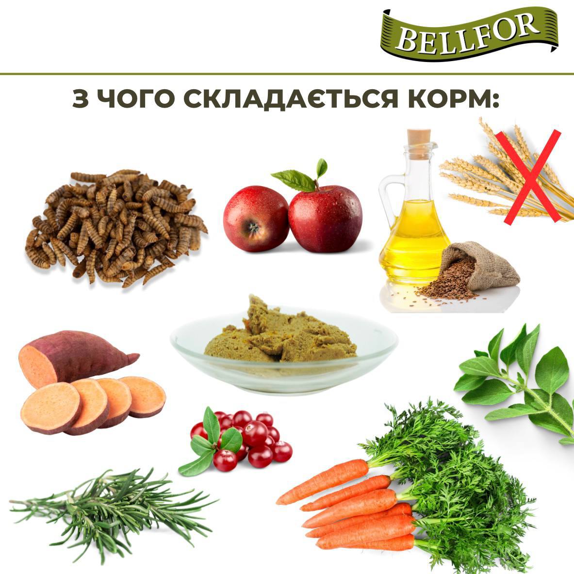 Гіпоалергенна беззернова консерва для собак на основі білка комах Bellfor Landgut-Menu Insect