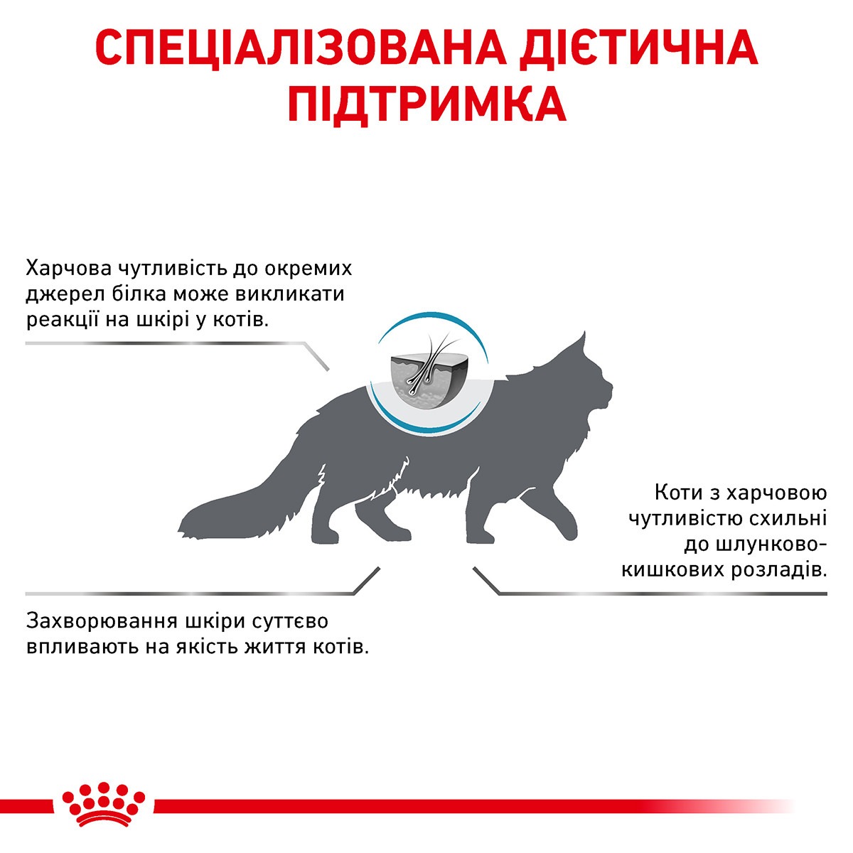 Сухий лікувальний корм для дорослих кішок при харчовій алергії Royal Canin Veterinary Anallergenic s/o index 
