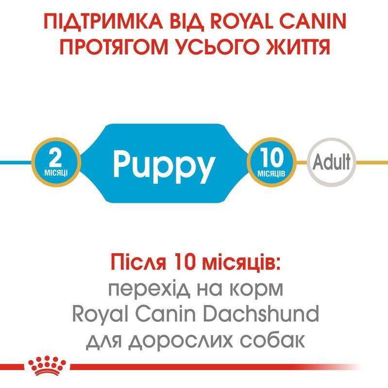 Сухой корм для щенков породы Такса до 10 месяцев Royal Canin Dachshund Puppy
