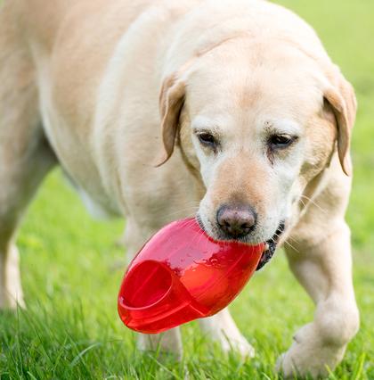 Игрушка для собак Интерактивный Мяч Фрисби с пищалкой KONG Jumbler Football