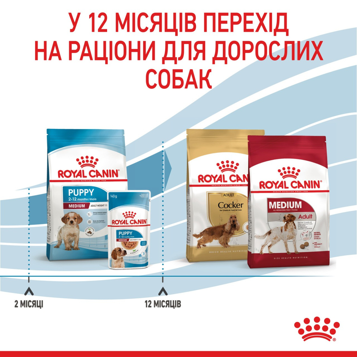 Сухой корм для щенков средних пород в возрасте от 2 до 12 месяцев Royal Canin Medium Puppy