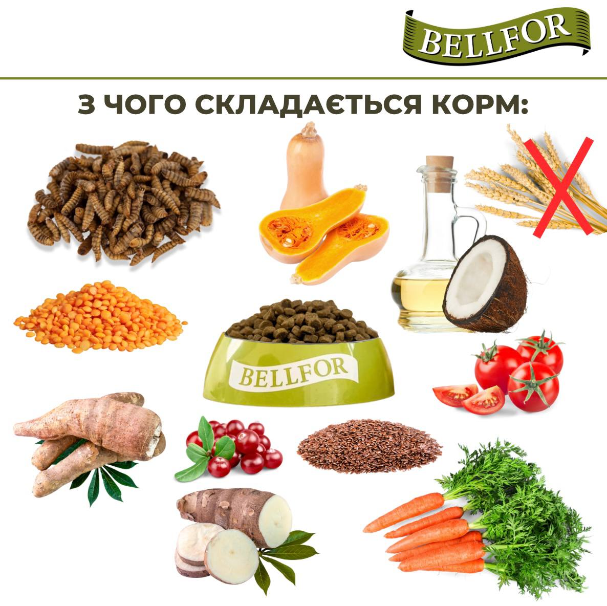 Беззерновой сухой корм холистик с белком насекомых, чечевицей и тапиокой для маленьких собак Bellfor Insect Naturfarm-Schmaus Mini